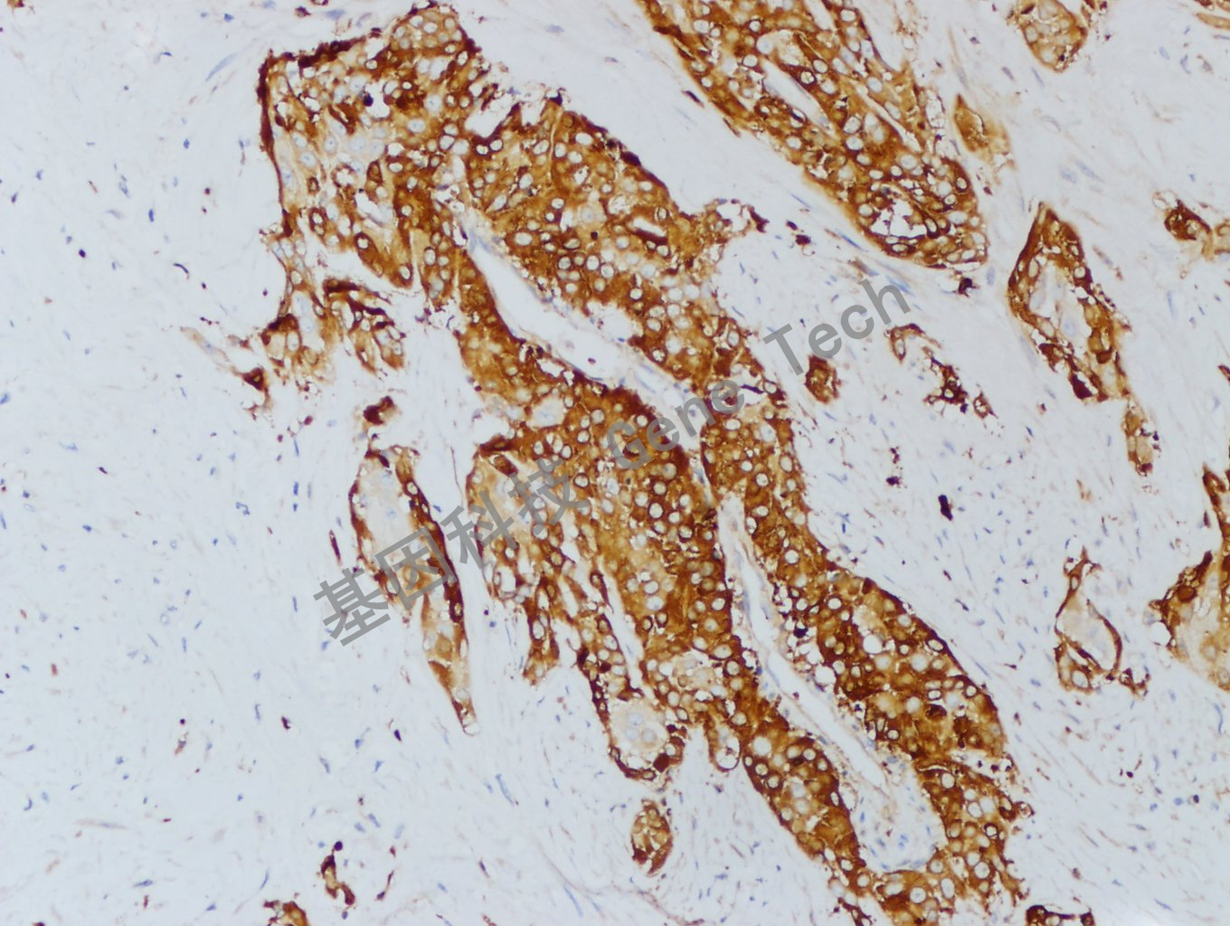 1680592911376453.jpg 1680592911376453.jpg