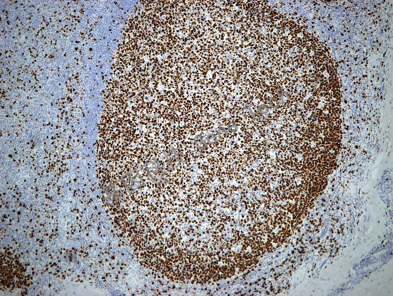 1683770301161040.jpg 1683770301161040.jpg